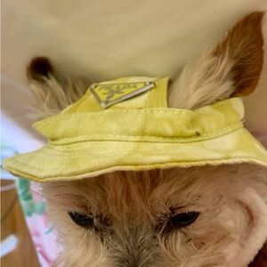 Prada Pets Sunny Yellow Hat
